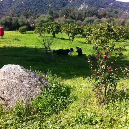 펜션 Maison De Campagne A *