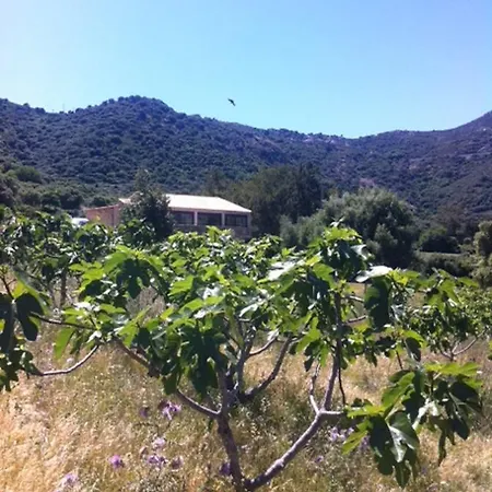 Maison De Campagne A * Aregno