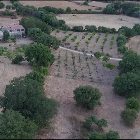 Maison De Campagne A Aregno